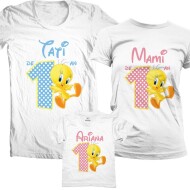 Set Aniversar Familia Tweety