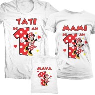 Set Aniversar De Familie Minnie