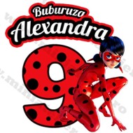 Tricou Aniversare Buburuza Miraculous