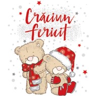 Body Sau Bluzita Xmas Bear