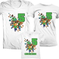 Set De Familie Minecraft