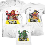 Set De Familie Ninjago